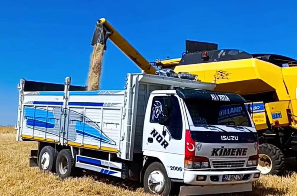 2025 yılının ilk buğday hasadı yapıldı