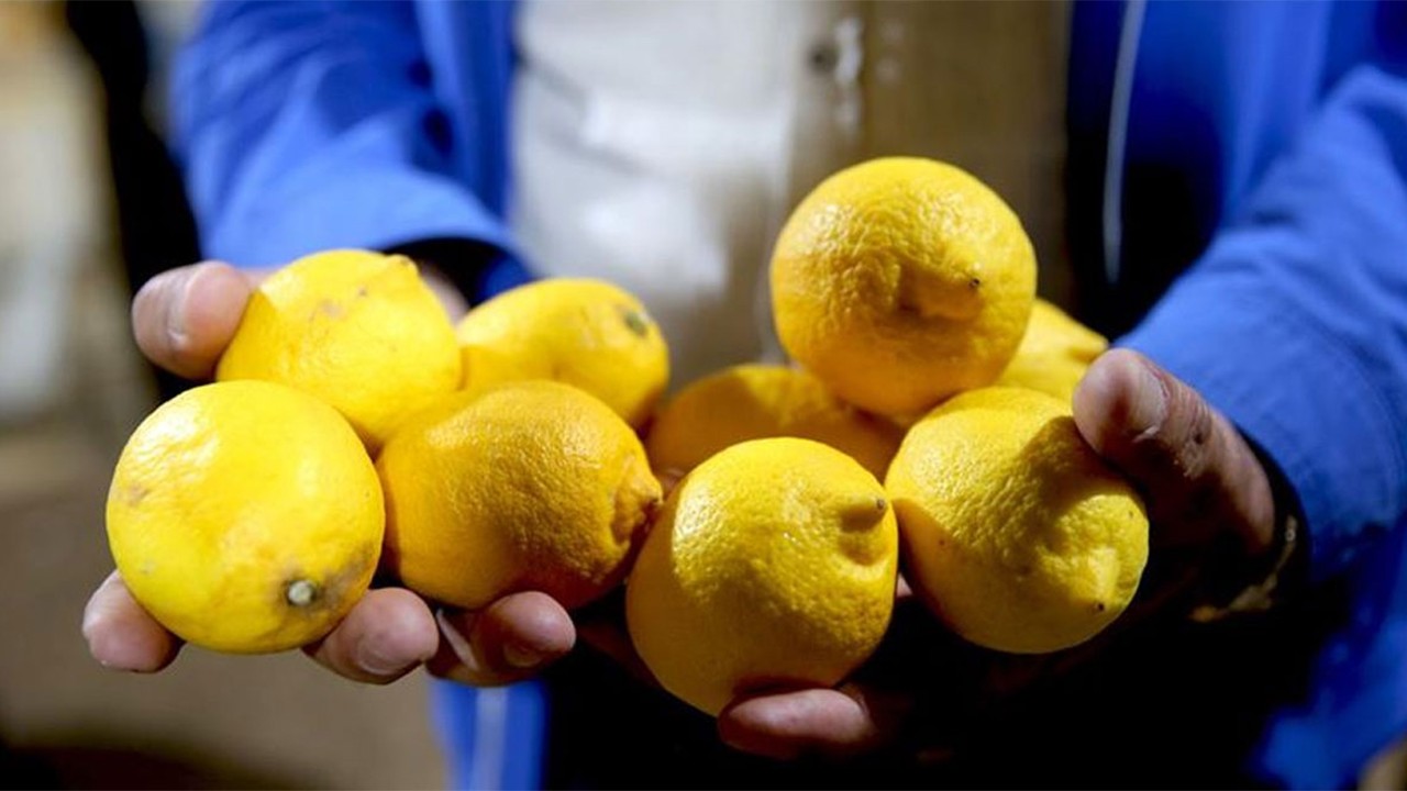 2025’te hem tarlada hem de markette fiyatı tavan yaptı Zam şampiyonu