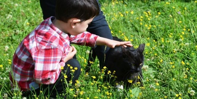 Mert Efe’nin kedi sevgisi kaybolmasına neden oldu