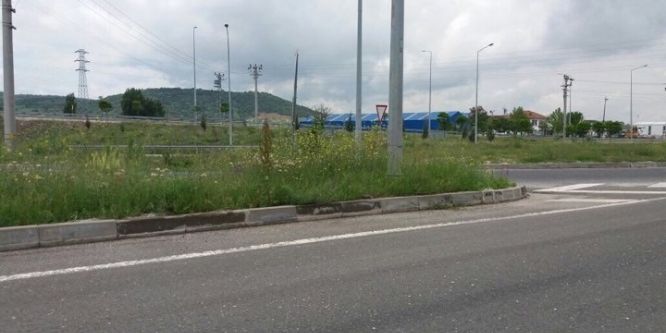 Refüjlerde yükselen otlar sürücülerin görüş açısını daraltıyor