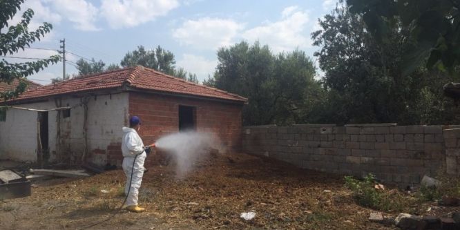 Büyükşehir sinek ve haşerelerle mücadele ediyor