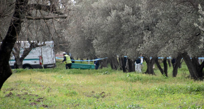 21 yaşındaki genç zeytin bahçesinde ölü bulundu