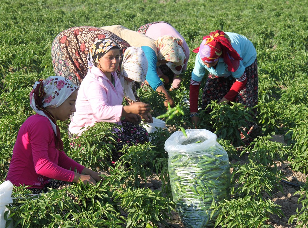 21 yılda kadın üreticilere 15 milyar lira destek verildi