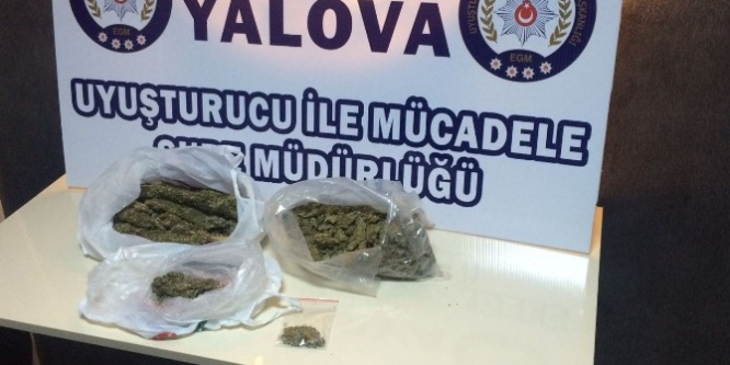Yalova emniyetinden uyuşturucu operasyonu: 1 Gözaltı