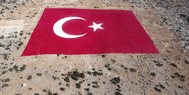 22 dönümlük araziye Türk Bayrağı boyandı