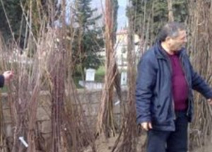 Fidan Satışlarında Yeni Uygulama