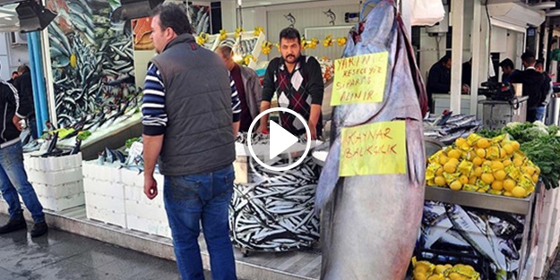 220 kilogramlık balık ilgi odağı oldu