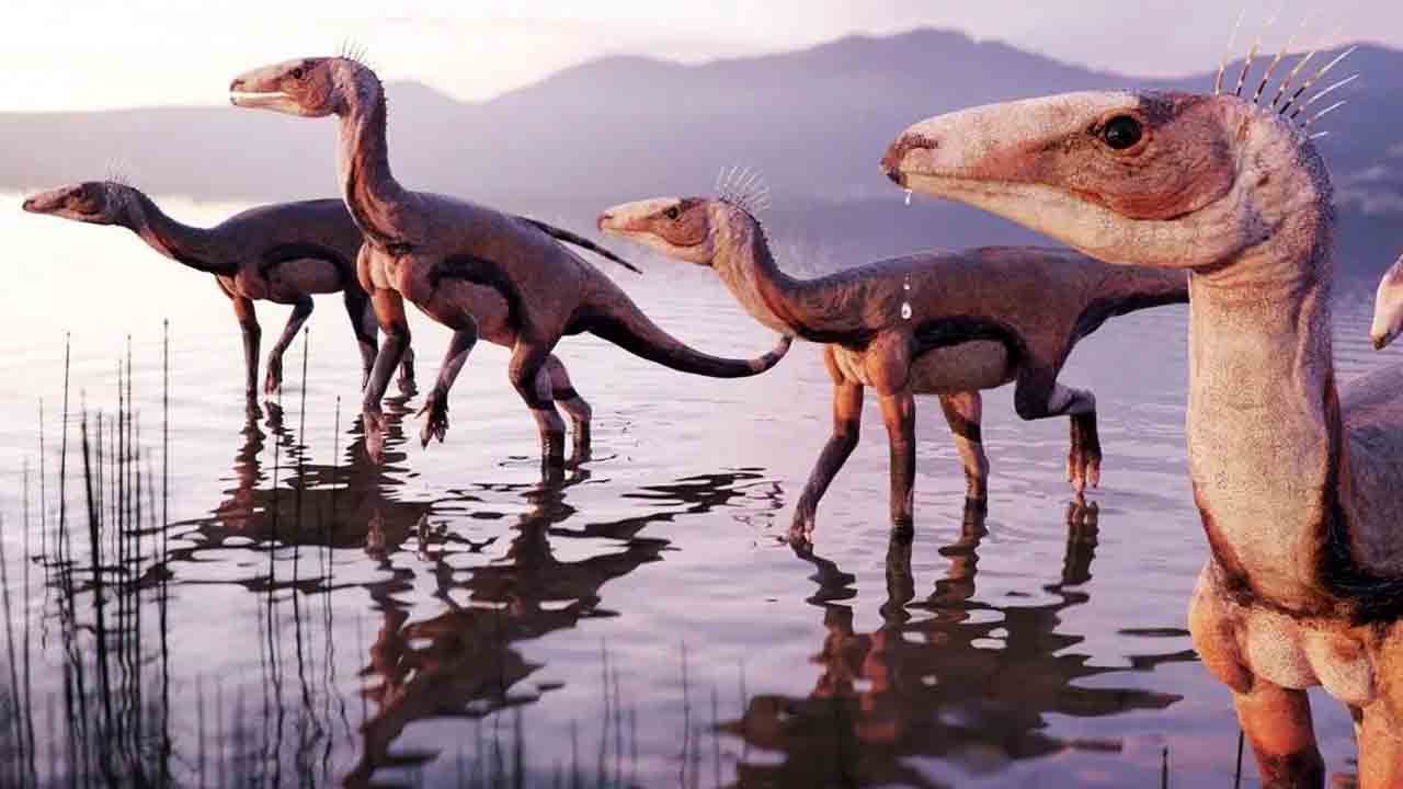 225 milyon yıllık sürpriz : Dinozorların kökeni yeniden yazılıyor