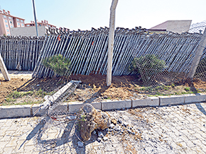 Eşkıyalığın zararı 24 bin lira