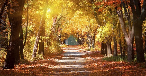 23 Eylül ekinoksu nedir? Ekinoks nedir ne anlama geliyor?