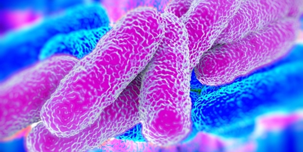 23 kişiye kolera teşhisi konuldu