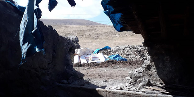 24 büyükbaş feci şekilde telef oldu
