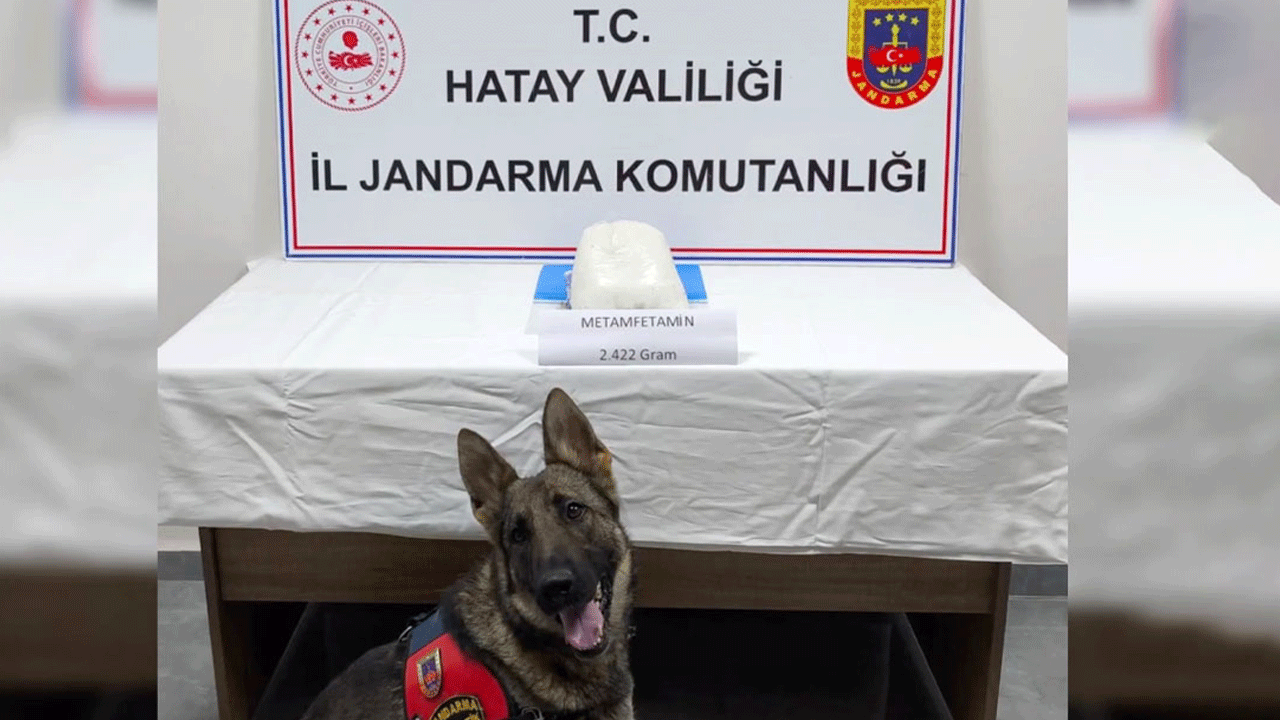 24 ilde dev operasyon: 122 kişi tutuklandı!