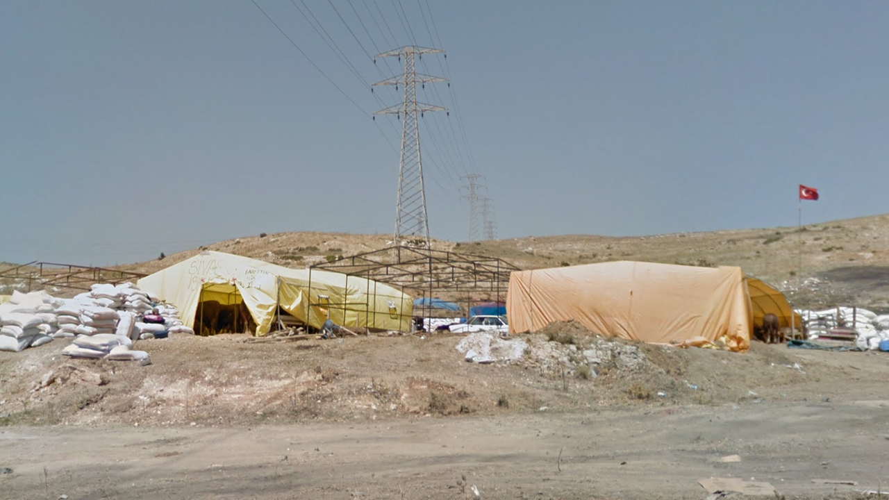 24 İlde Hayvan Pazarları Yeniden Açıldı