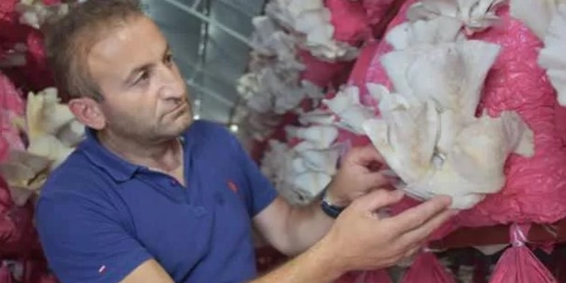 24 yıl sonra Belçika'dan döndü, kendi işini kurdu! Şimdi siparişlere yetişemiyor