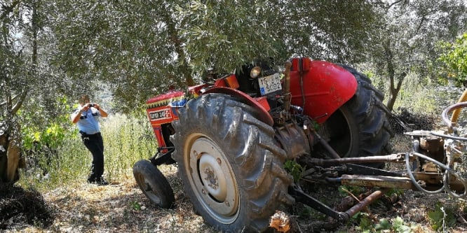 Traktör sürücüsünü zeytin ağacı kurtardı