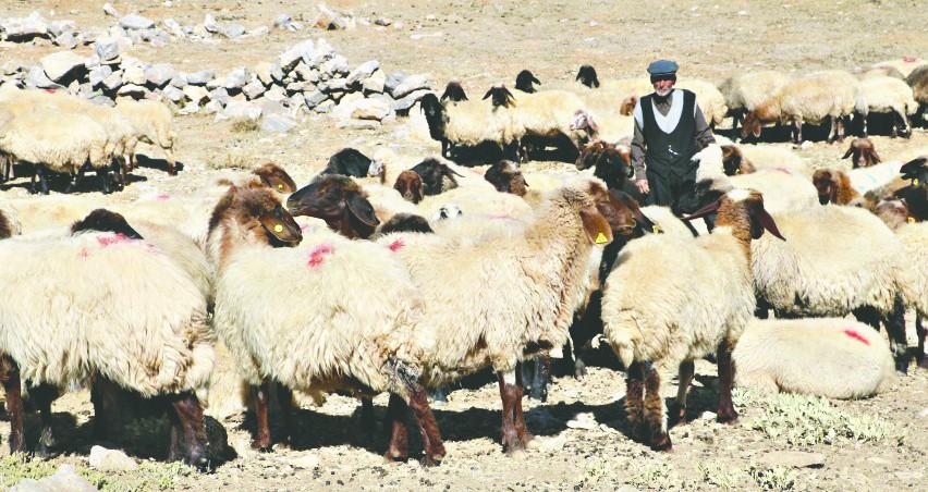 25 bin TL maaşı beğenmiyorlar