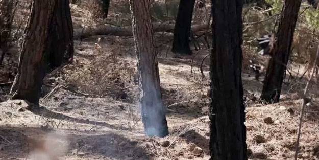 25 gün sonra bile içten içe yanıyor
