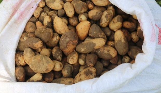 25 kilo topladılar 300 bin TL ceza yediler!