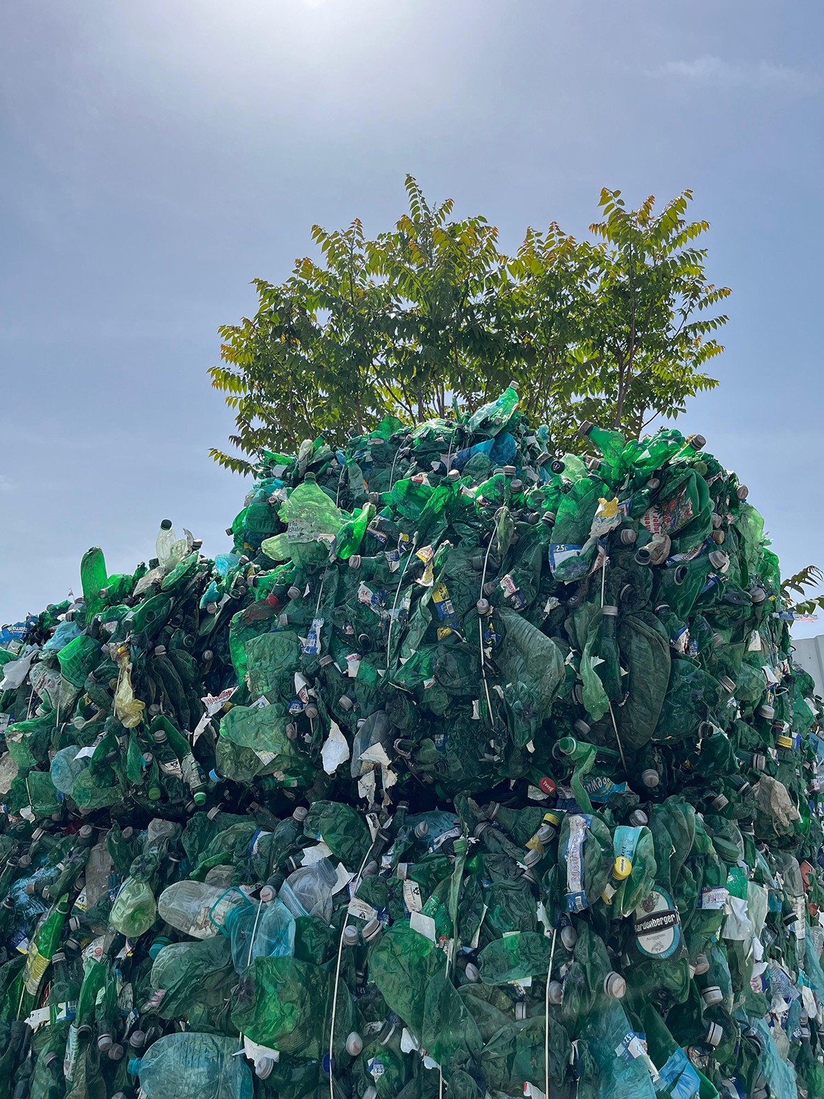 25 milyar içecek ambalajı dönüşüm bekliyor! Ekonomiye 5 milyar TL katkı sunacak