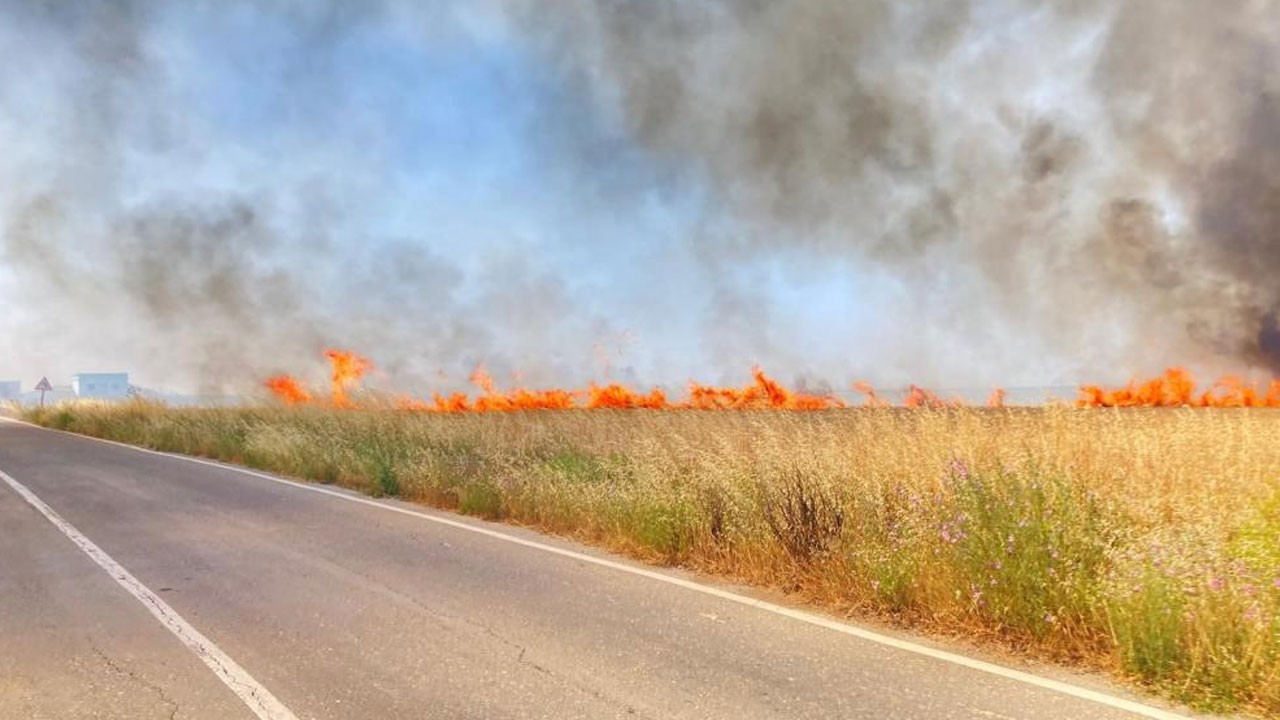 250 dönüm buğday kül oldu