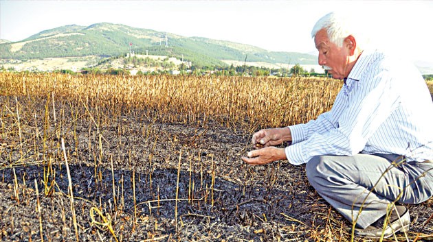 250 dönüm ekili alan kül oldu