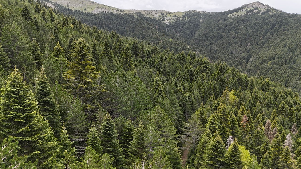 2500 yıllık sessiz tanık! Truva efsanesinden İstanbul’un fethine