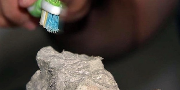 255 milyon yıllık fosilde diş uru keşfedildi!