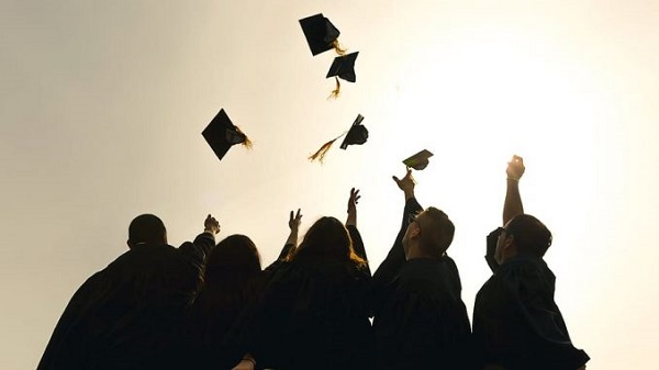 255 sözel puanla hangi bölüme girebilirim?