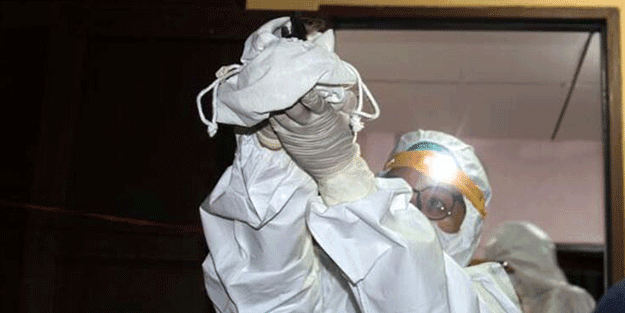 26 hayvan türüyle ilgili kabus gibi açıklama! İnsanlara geçebilir