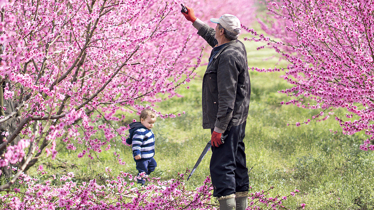 26 ülke o ilimize akın ediyor: Satışlar yüzde 644 arttı!