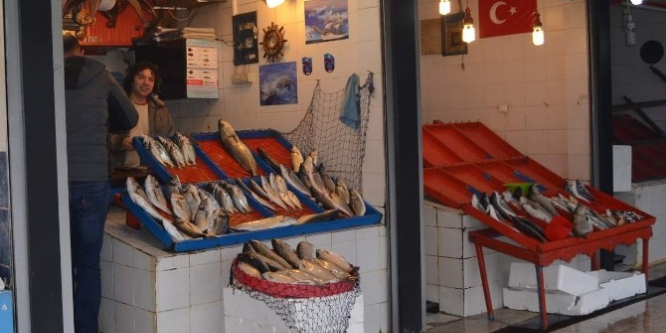 Karadeniz’de bugünlerde balık avı azalınca vatandaş kültür balığını tercih ediyor