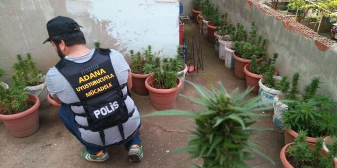 Damdaki manzara polisi bile şaşkına çevirdi