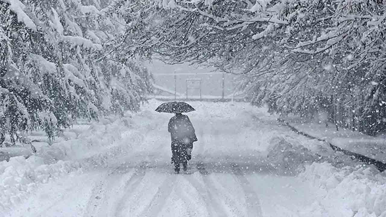 27 ölü, 290 yaralı: Japonya’da kar kabusu