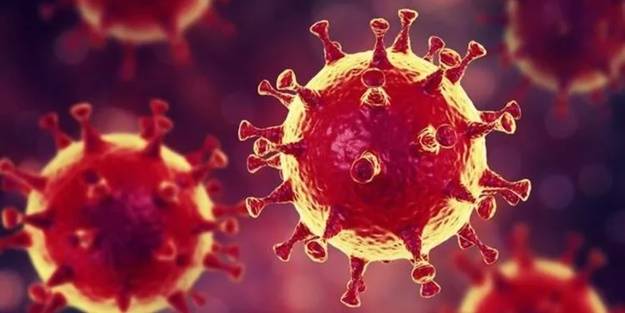 28 Ekim koronavirüs verileri paylaşıldı