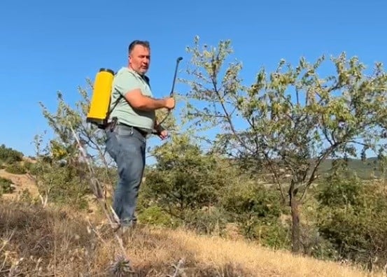 28 yıl bekledi, sonunda muradına erdi! Badem ağaçları ilk kez ürün verdi
