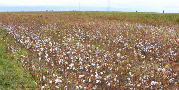 28 yıl sonra bir ilk, bu gelişme o ilin geleceğini etkileyecek