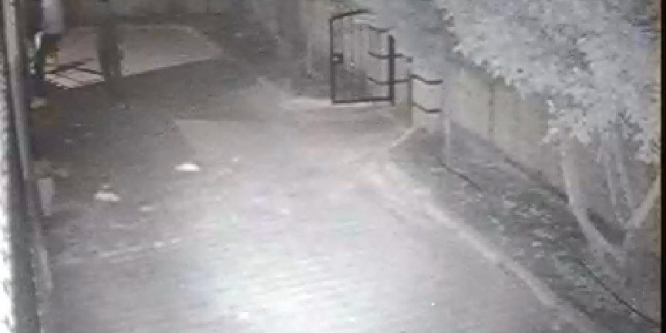 Cezaevi firarisi 