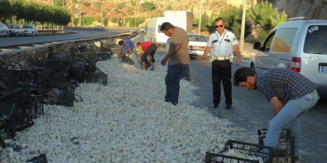Devrilen tırdaki tonlarca sarımsak yola döküldü