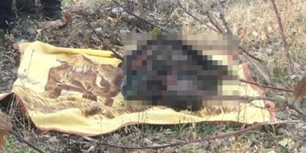 29 gündür aranıyordu... Feci şekilde bulundu