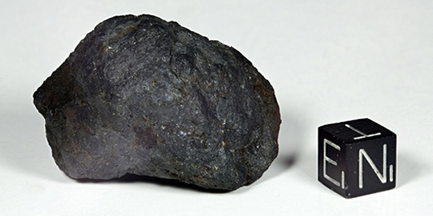 290 milyon yıl süren yolculuk