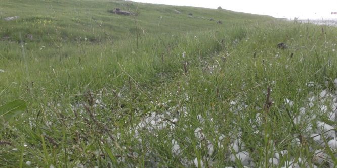 Dolu tarım arazilerine zarar verdi