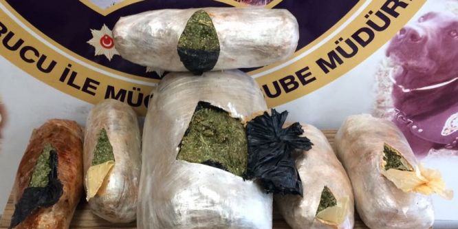 61 kilo esrar ele geçirildi