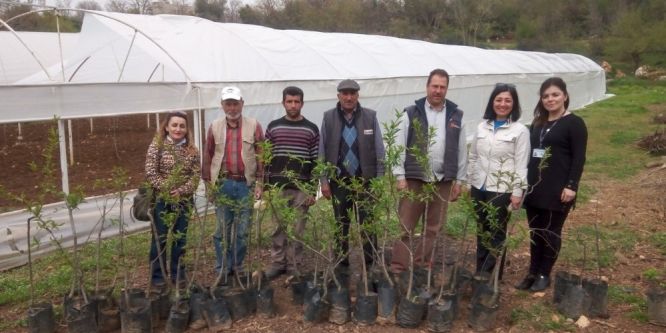 Üreticiye meyve fidanı dağıtıldı