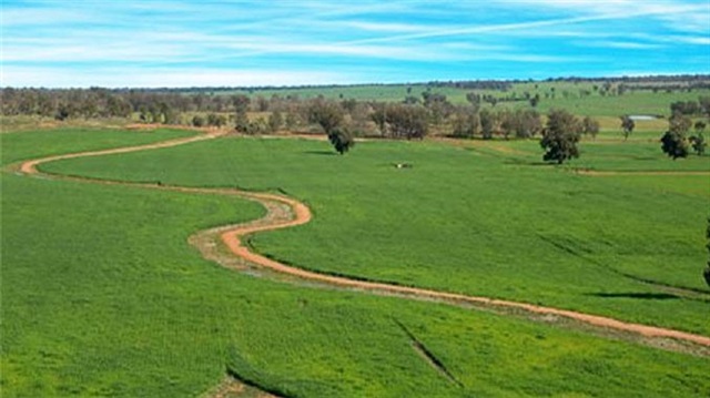 2B'de süre 6 ay uzatıldı