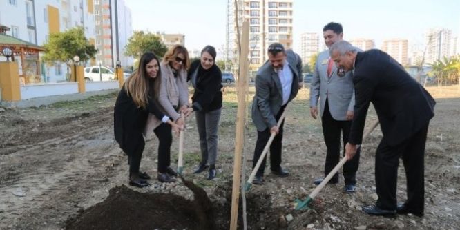 Mersin Mezitli’de 26. jakaranda koruluğu açıldı