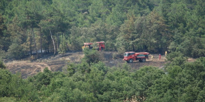 Çanakkale’de arazi yangını