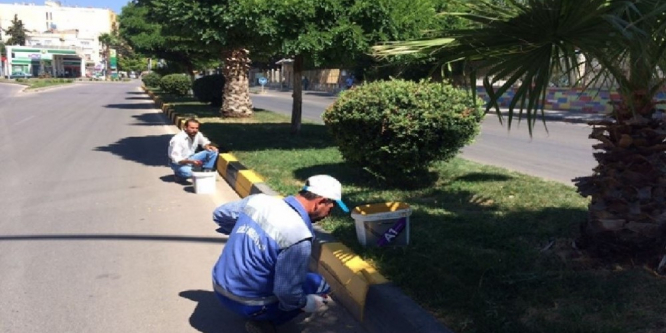Park Bahçe Müdürlüğü çalışmaları sürüyor