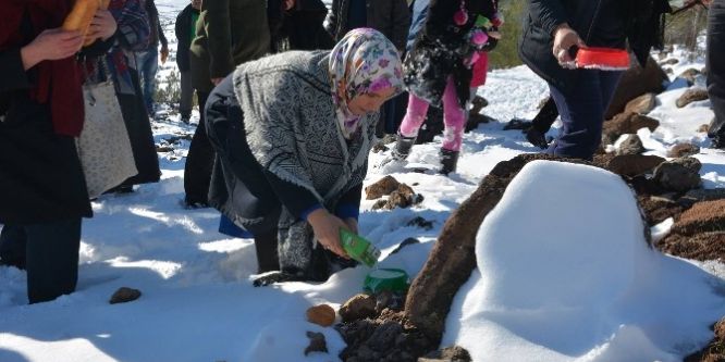 Kilis Belediyesi doğa hayvanlarına yem bıraktı