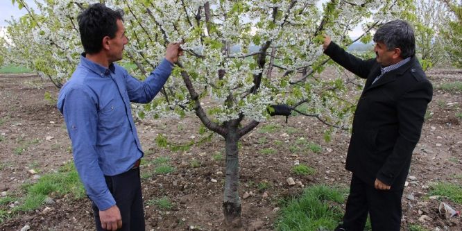 Ani hava değişimleri çiftçileri strese soktu